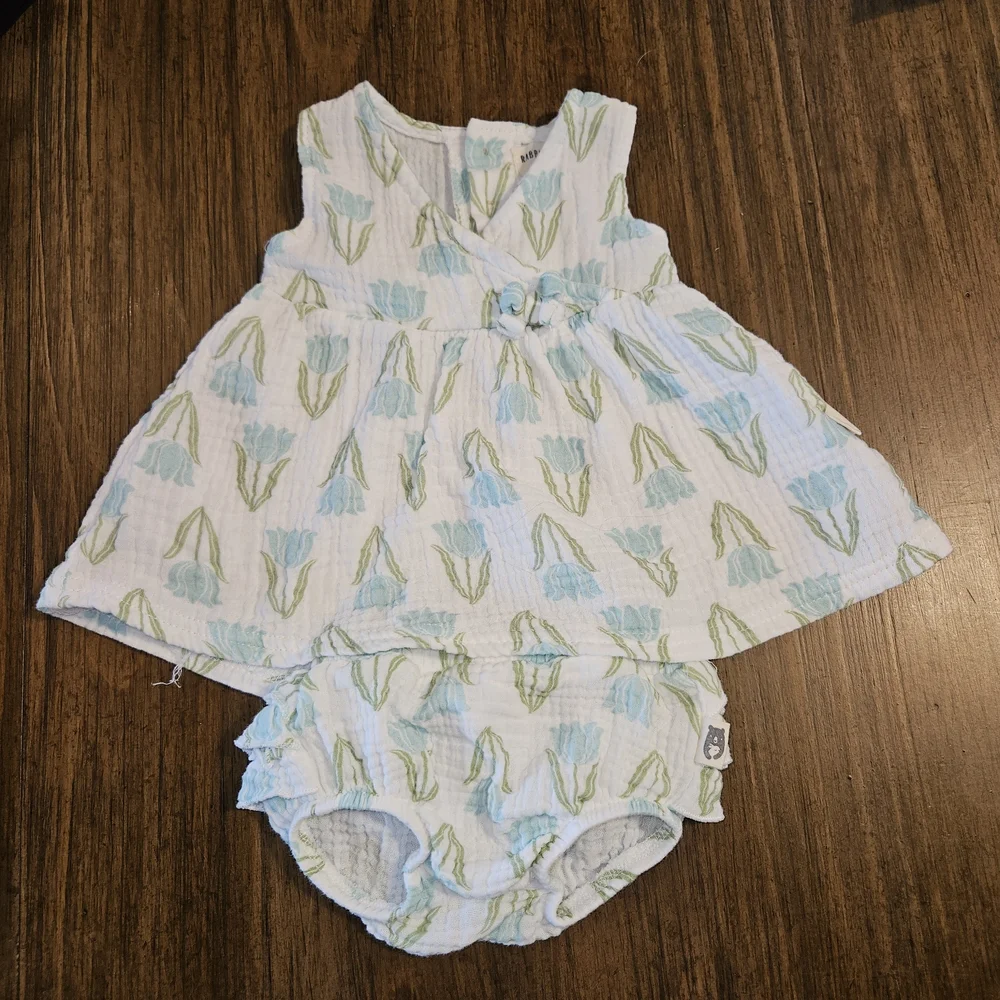 Charming Blue and Green Floral Dress Set